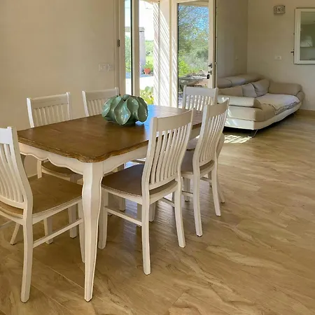 Σπίτι διακοπών House In Olive Grove Between Valley And Sea