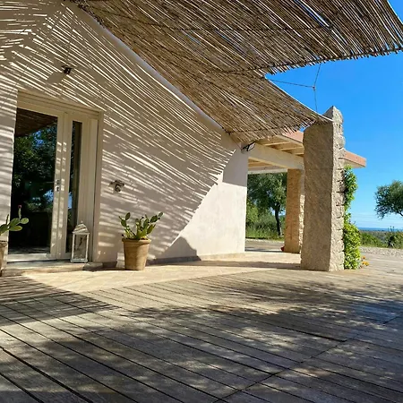 Σπίτι διακοπών House In Olive Grove Between Valley And Sea