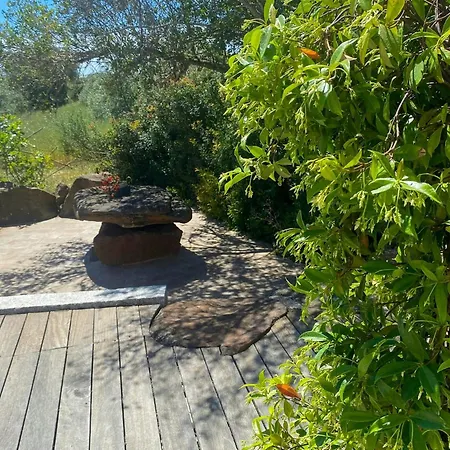 House In Olive Grove Between Valley And Sea Dom wakacyjny *