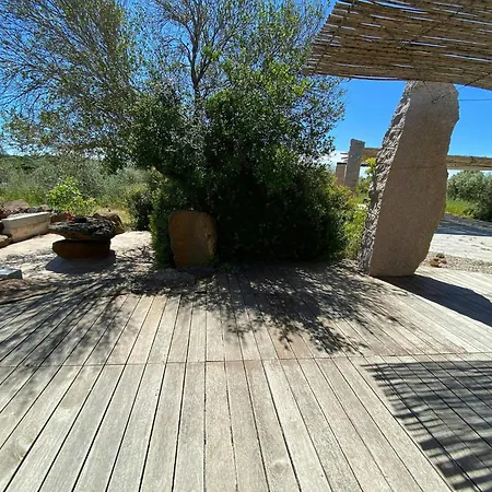 House In Olive Grove Between Valley And Sea Dom wakacyjny