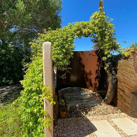 House In Olive Grove Between Valley And Sea Dom wakacyjny
