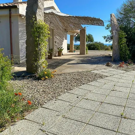 Σπίτι διακοπών House In Olive Grove Between Valley And Sea *